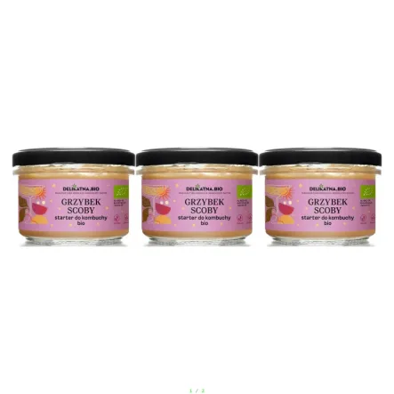 3 x Grzybek Scoby Starter do Kombuchy Bio 150 g - Delikatna.Bio (COLD)