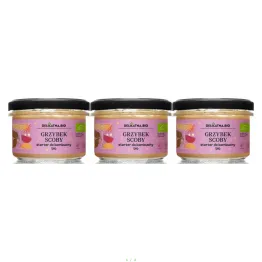 3 x Grzybek Scoby Starter do Kombuchy Bio 150 g - Delikatna.Bio (COLD)