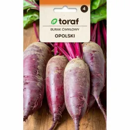 Burak Ćwikłowy OPOLSKI Nasiona 10 g - Toraf