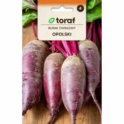 Burak Ćwikłowy OPOLSKI Nasiona 10 g - Toraf