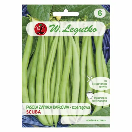 Fasola Zwykła Karłowa Szparagowa - Scuba Nasiona 50 g - Legutko