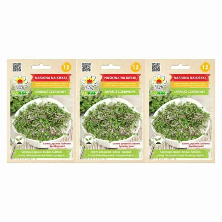 3 x Nasiona na Kiełki Jarmuż Czerwony 10 g - Toraf