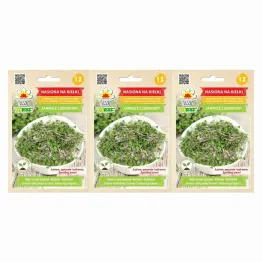 3 x Nasiona na Kiełki Jarmuż Czerwony 10 g - Toraf
