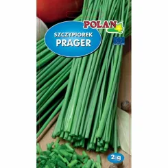 Szczypiorek PRAGER Nasiona 2 g - Polan