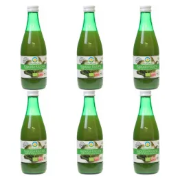 6 x Bio Food Organiczny Sok Z Kapusty Kiszonej 0,3 l