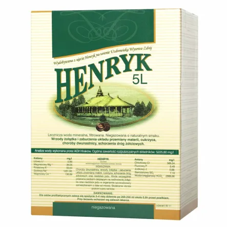 Woda Lecznicza 5 l HENRYK - Uzdrowisko Wysowa