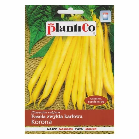 Fasola Zwykła Karłowa KORONA Nasiona 40 g - PlantiCo