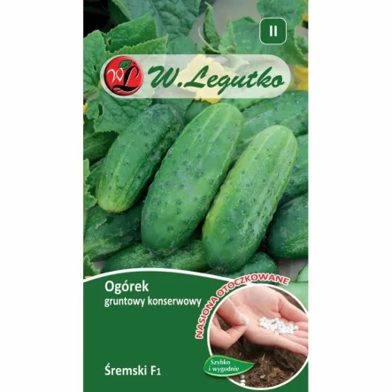 Ogórek Śremski F1 - Nasiona Otoczkowane ok. 50 Sztuk - Legutko