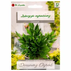 Lubczyk Ogrodowy Nasiona 0,5 g - Legutko