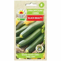 Cukinia Black Beauty Nasiona 5 g - Toraf