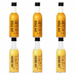 3 x ŁYK Życia (Imbir, Miód, cytryna, Woda Kokosowa, Kurkuma, Pieprz Cayenne) 50 ml - Drest + 3 x ŁYK Energii (Imbir, Miód, Cytryna, Woda Kokosowa, Ananas) 50 ml - Drest