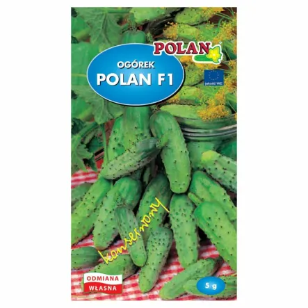 Ogórek Gruntowy Konserwowy - Polan F1 Mieszaniec 5 g - Polan