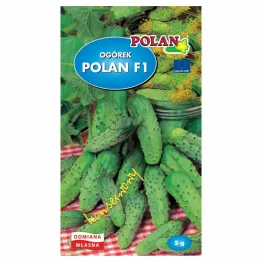 Ogórek Gruntowy Konserwowy - Polan F1 Mieszaniec 5 g - Polan