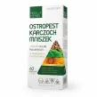 Ostropest Karczoch Mniszek 60 Kapsułek - Medica Herbs