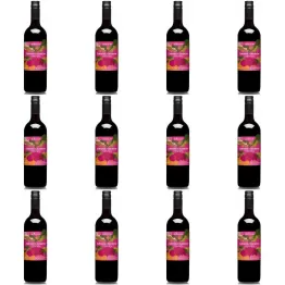 12 x Zakwas z Buraków Tradycyjny Bio 700 ml - Delikatna.Bio (COLD)