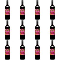 12 x Zakwas z Buraków Tradycyjny Bio 700 ml - Delikatna.Bio (COLD)