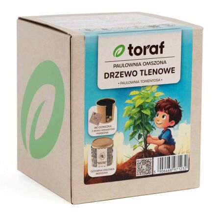 Zestaw do Wysiewu Drzewo Tlenowe Paulownia (Bio Doniczka z Ziemią i Keramzytem+ Nasiona) - Toraf