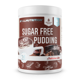 Delicious Line Pudding Choc Bez Dodatku Cukru 500 g Allnutrition