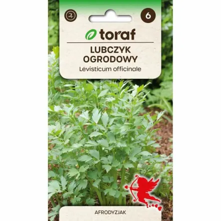 Lubczyk Ogrodowy Nasiona 1 g - Toraf