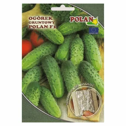 Ogórek Gruntowy Konserwowy - Polan F1 Mieszaniec na Taśmie z Nawozem 6 m (42 nasiona) - Polan