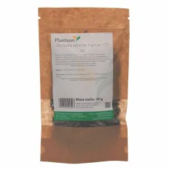 Herbata Zielona Yunnan OP  Liść 50 g - Planteon