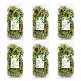 6 x Gojnik Herbatka Górska Bio 35 g - Batom