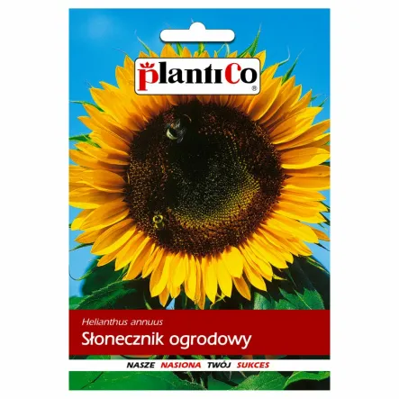 Słonecznik Ogrodowy Jadalny Nasiona 10 g - PlantiCo