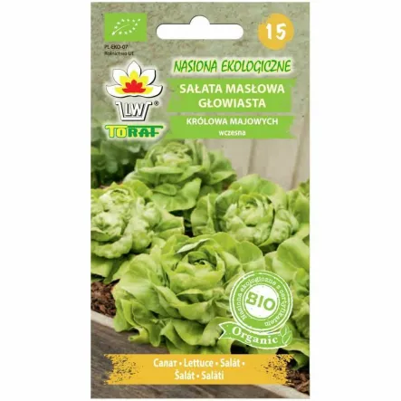 Sałata KRÓLOWA MAJOWYCH BIO Nasiona 1 g - Toraf