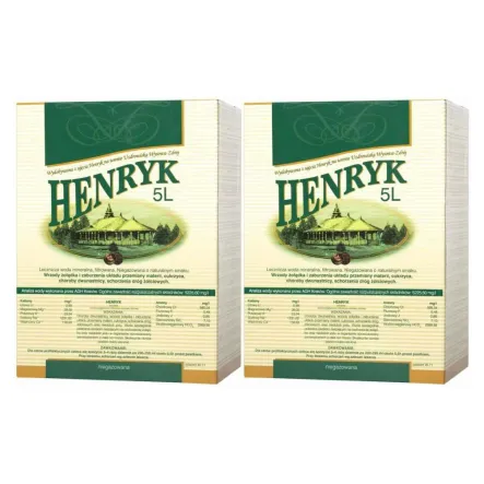 Zestaw 2 x Woda Lecznicza 5 l HENRYK - Uzdrowisko Wysowa