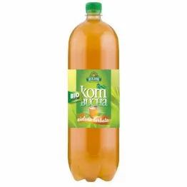 Kombucha Herbata Zielona Bio 2 l - BioLinie