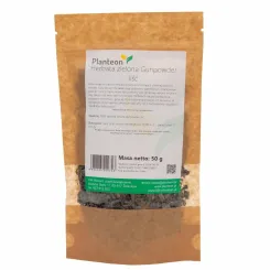 Herbata Zielona  Gunpowder Liść 50 g Planteon