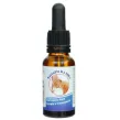 Witamina K2 MK7 Krople NattoFit 20 ml Niebieska - Proved