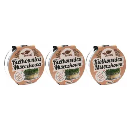 3 x Kiełkownica Szklana Miseczkowa +Nasiona na Kiełki Rzeżucha 10 g - Semini