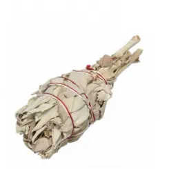 Biała Szałwia Pęczek 15-20 g  Salvia Apiana