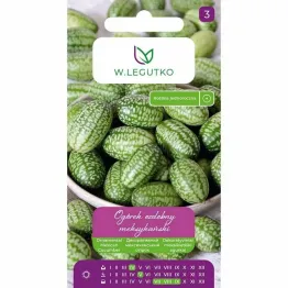 Ogórek Ozdobny Meksykański Nasiona 0,05 g - Legutko