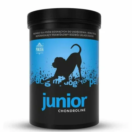 ChondroLine Junior Na Stawy Dla Szczenięcia 350 g - Pokusa (data 17.03.2025)
