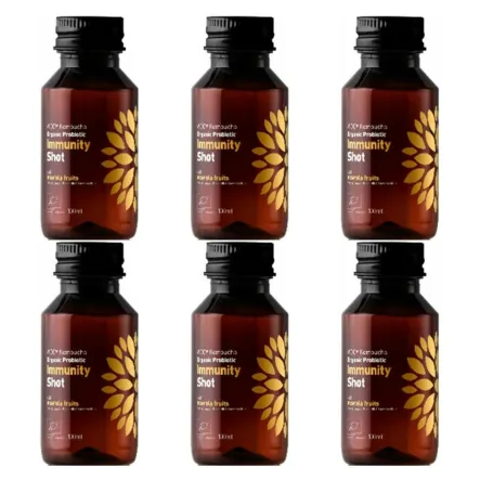 6 x Kombucha BIO Probiotyk Odporność Shot 100 ml - VIGO