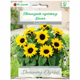 Słonecznik Ozdobny Karłowy Pojedynczy BAVER 2 g - Legutko