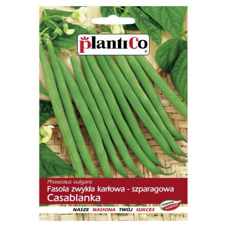 Fasola Zwykła Karłowa Szparagowa CASABLANKA Nasiona 40 g - PlantiCo