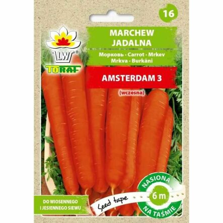 Marchew AMSTERDAM 3 - Nasiona na Taśmie 6 m -Toraf