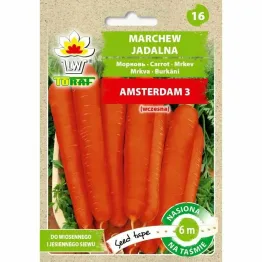 Marchew AMSTERDAM 3 - Nasiona na Taśmie 6 m -Toraf