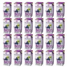 24 x Nektar z Czerwonych Winogron Bio 200 ml - Hollinger