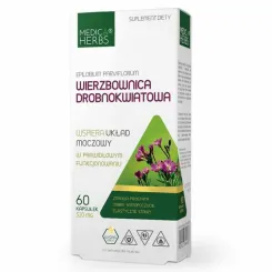 Wierzbownica Drobnokwiatowa 520 mg 60 Kapsułek - Medica Herbs