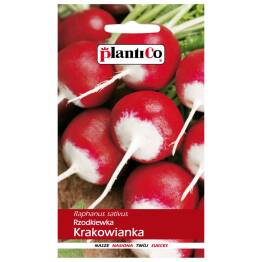Rzodkiewka Krakowianka Nasiona 10 g - Plantico