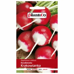 Rzodkiewka Krakowianka Nasiona 10 g - Plantico