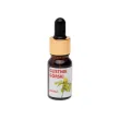 Glistnik Górski Ekstrakt 10 ml
