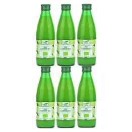 6 x Sok z Limonki Tłoczony NFC Bio 250 ml - Bio Planet