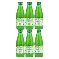 6 x Sok z Limonki Tłoczony NFC Bio 250 ml - Bio Planet