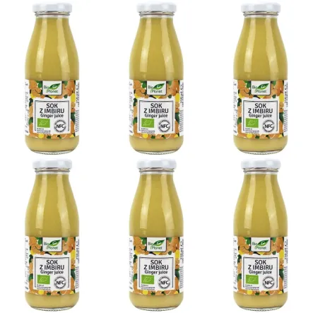 6 x Sok z Imbiru NFC Bio 250 ml - Bio Planet