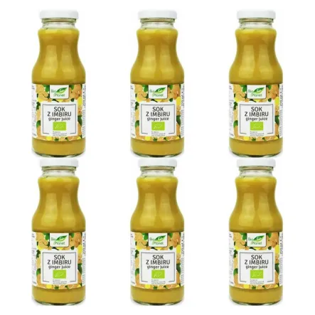 6 x Sok z Imbiru NFC Bio 250 ml - Bio Planet